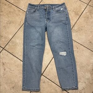 Wild Fable Light Wash Ripped Jeans